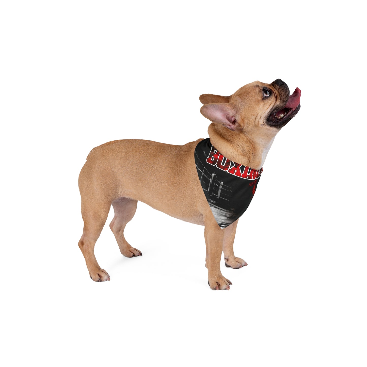 Boxing Fighter Pet Bandana BX13