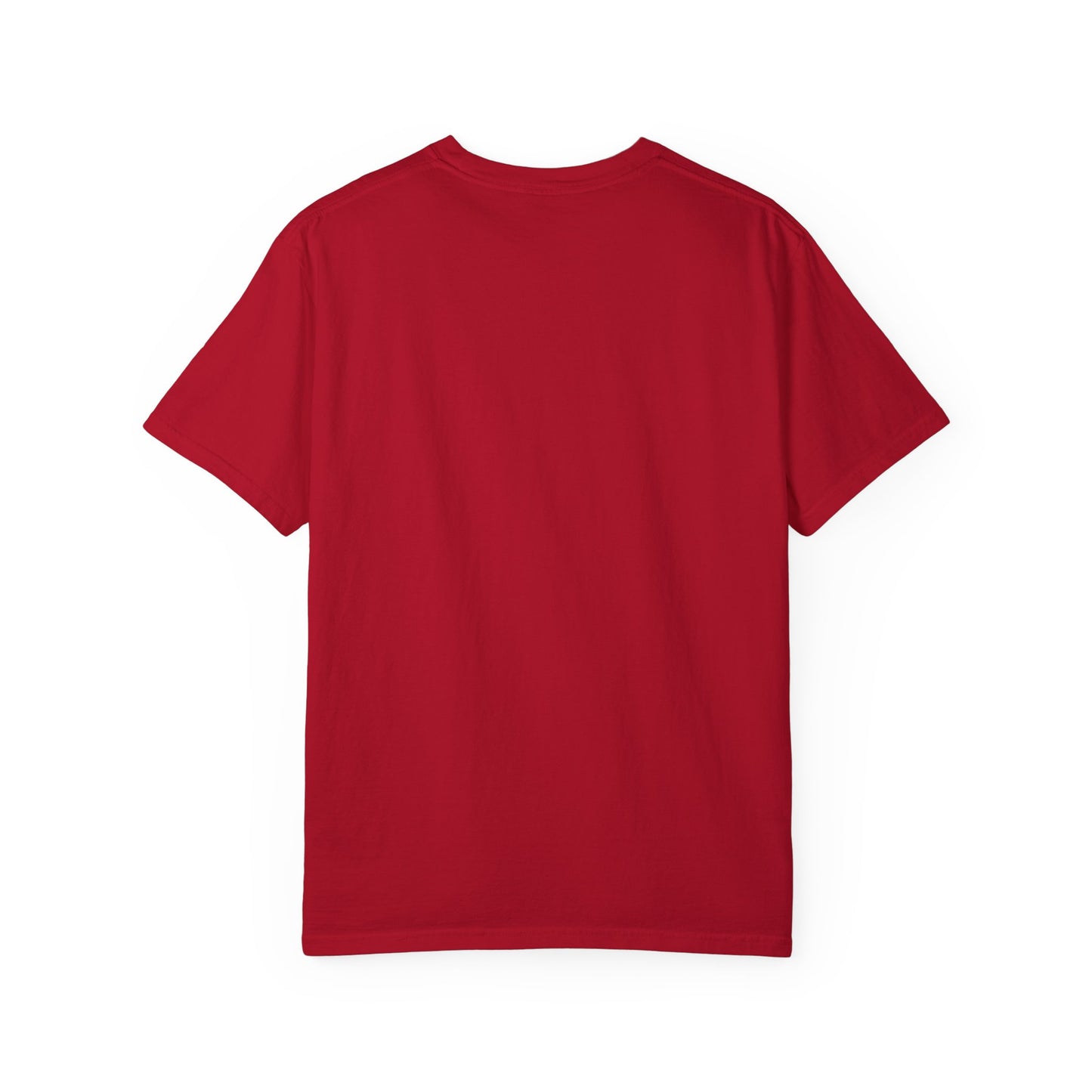 Grappling p13  T-Shirt